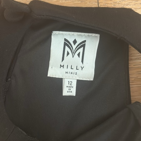 Milly Minis Blair Ostrich feather dress - size 12 - Worn once. - Picture 3 of 3